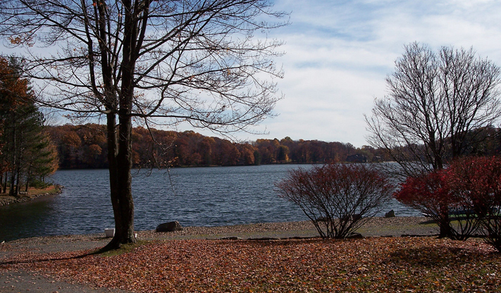 Treasure Lake Seasonal Landscape Scene